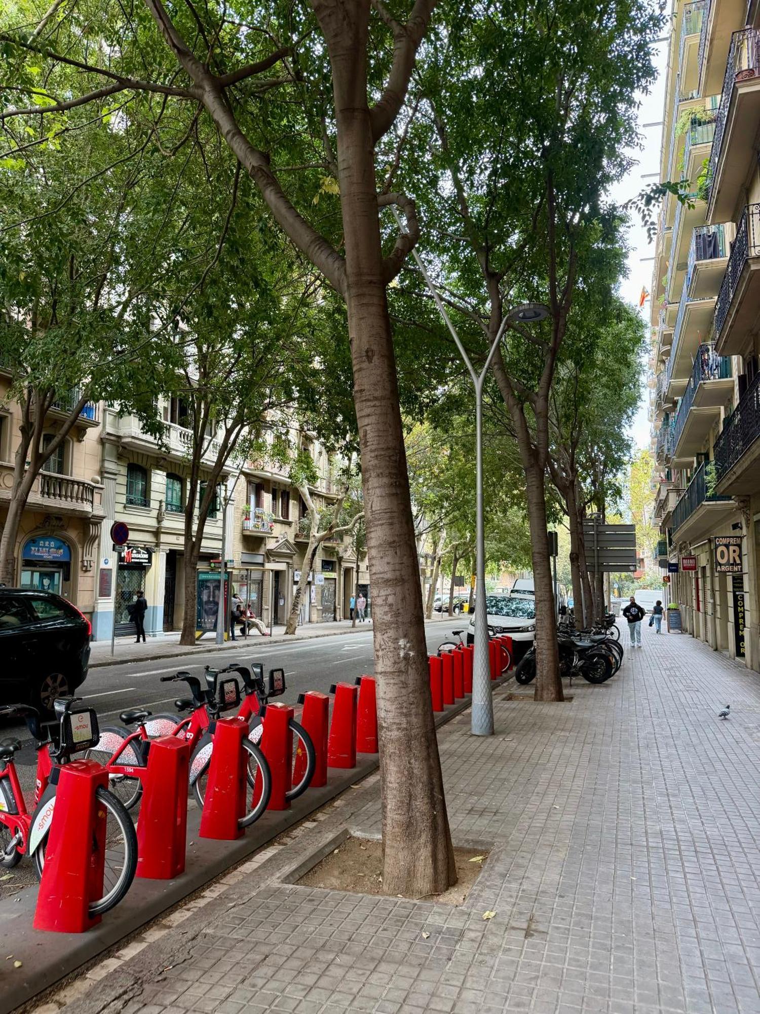 Newly Renovated Stylish Eixample - Great Location Barcelona Exterior foto